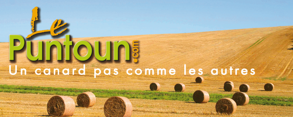 Ferme du Puntoun